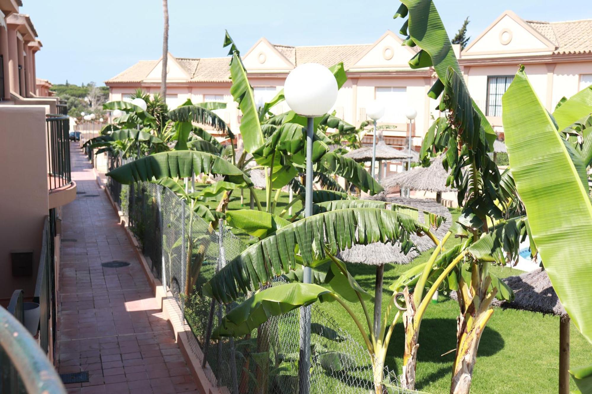 Playa La Barrosa, Alojamientoslola Chiclana de la Frontera Exteriör bild